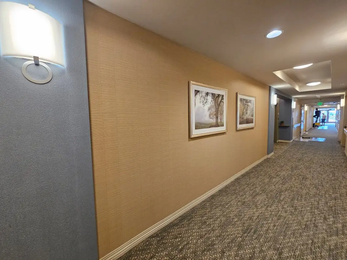 Commercial wallpaper installation for offices and businesses